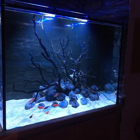 Appartement Aquarium House à Sesimbra Extérieur photo