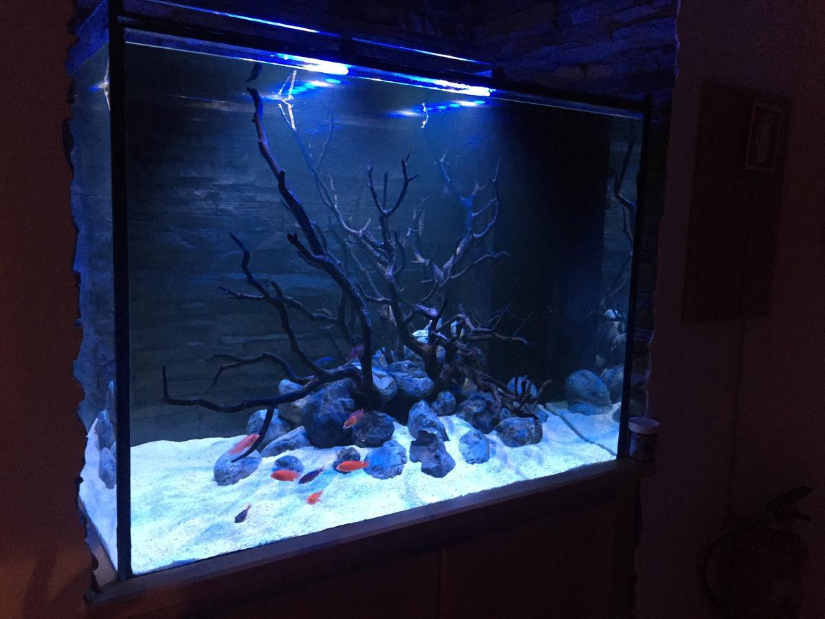 Appartement Aquarium House à Sesimbra Extérieur photo